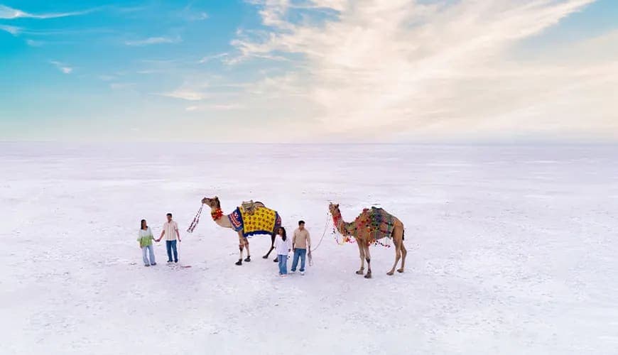 Egypt: White Desert & Oases Adventure - image 1