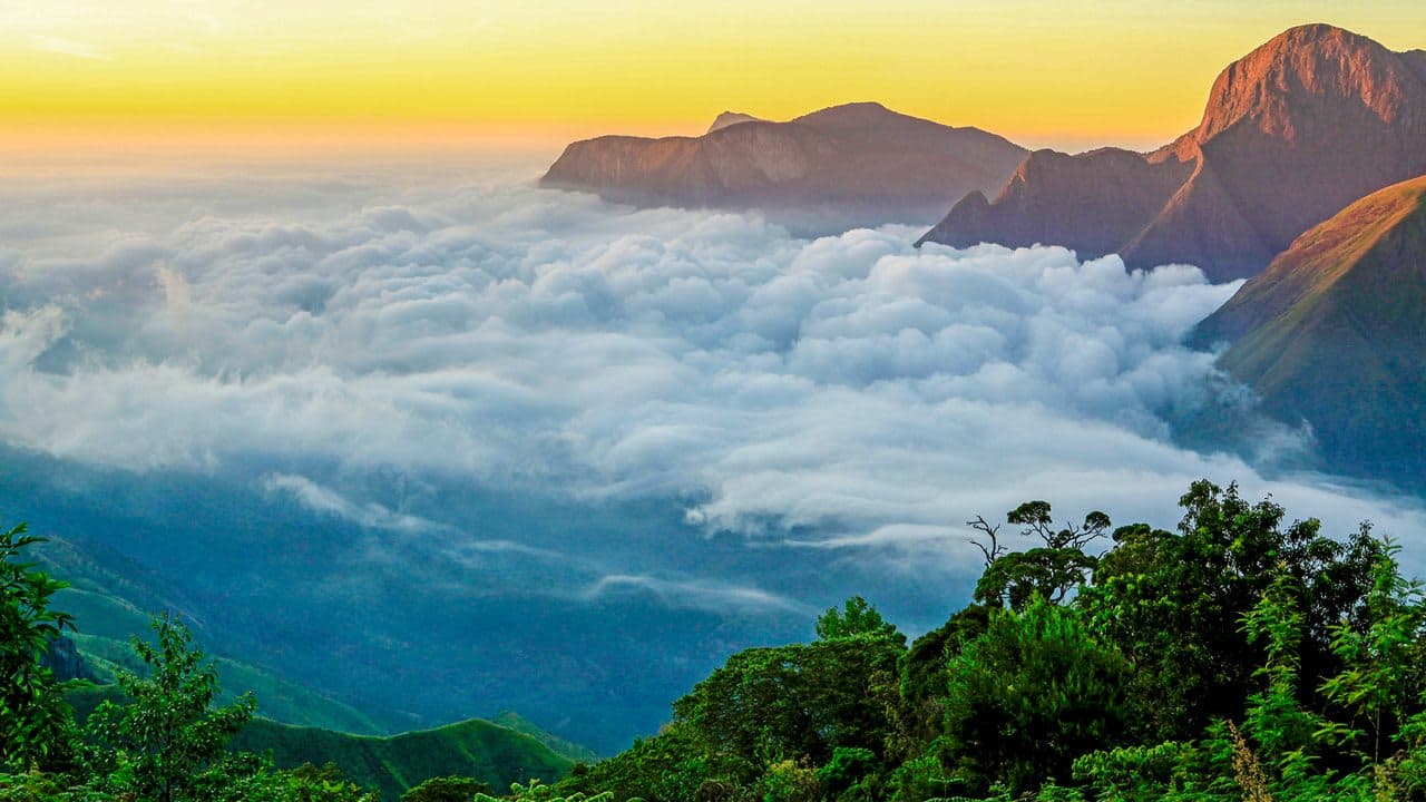 Landscape of Kerala - Munnar, Periyar & Alleppey Backwaters - image 1