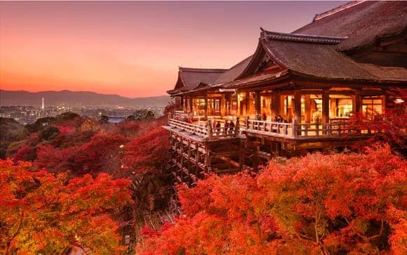 Japan Essentials: Tokyo, Kyoto & Osaka